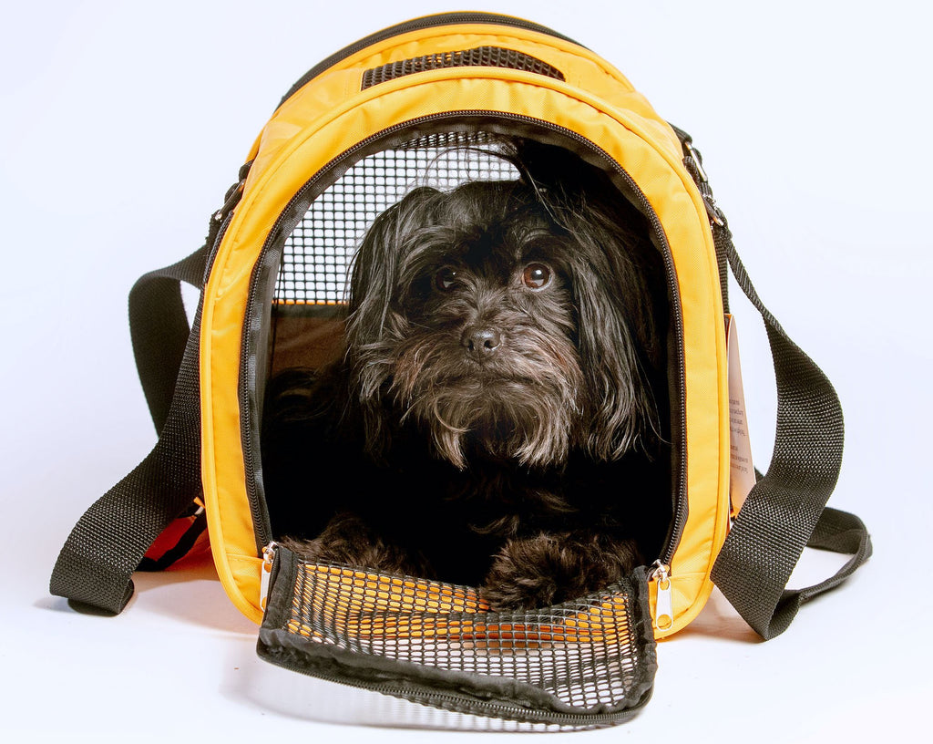 Dog airline approved, fully enclosed, travel carriers & tote bags 