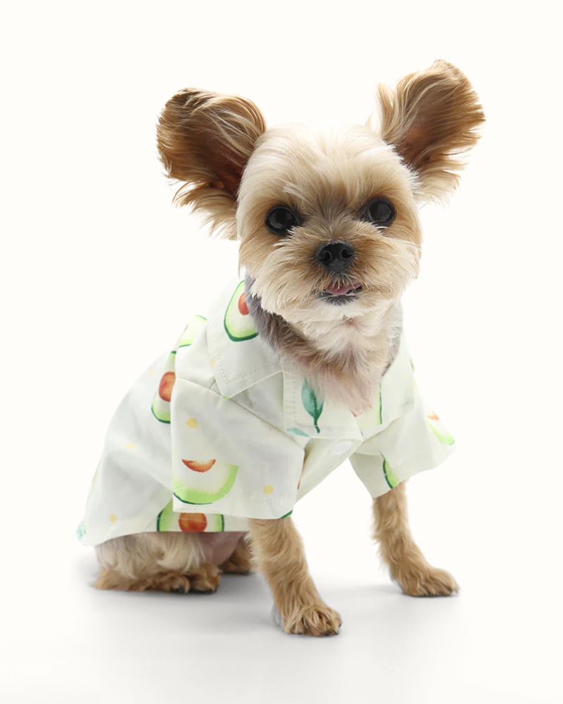 Avocado Button Dog Shirt for Dogs Wear DOGO   