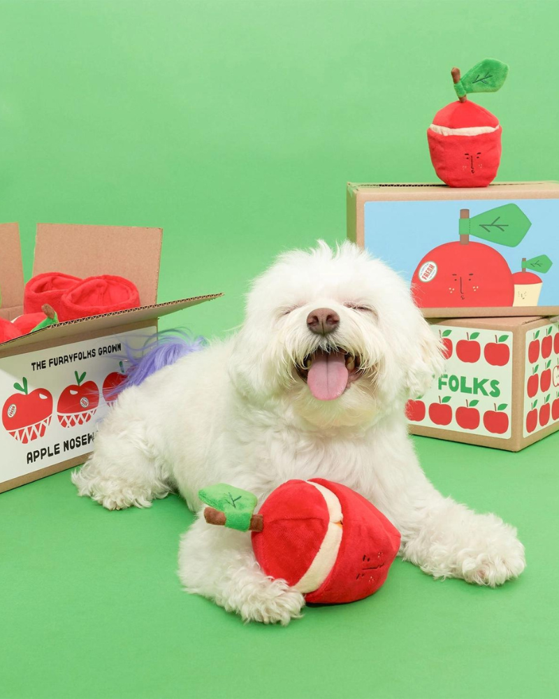 Apple Nosework Dog Toy Play THE FURRY FOLKS   