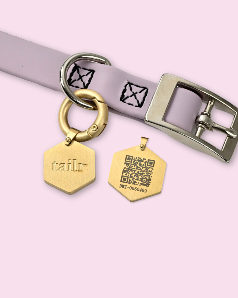 Tailr QR ID Tag for Pets (Classic Hanging Tag) Wear TAILR   