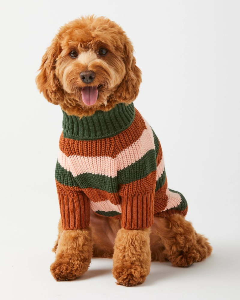 women's dress for fall wedding guest CHILLY DOG | Tartan Plaid Dog Coat