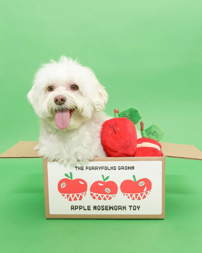 Apple Nosework Dog Toy Play THE FURRY FOLKS   