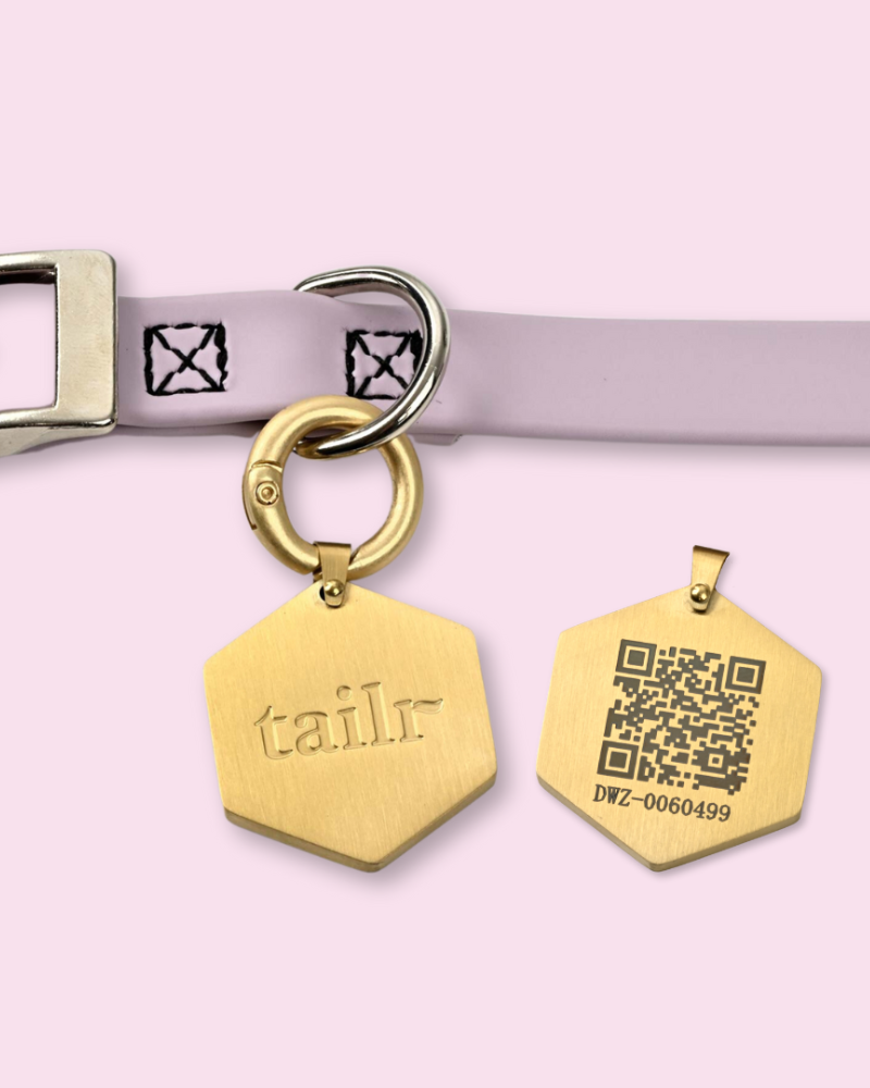 Tailr QR ID Tag for Pets (Classic Hanging Tag) Wear TAILR   