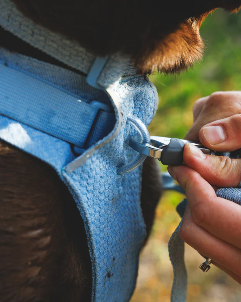 RUFFWEAR | Front Range Flex Harness in Polar Blue | DOG & CO.