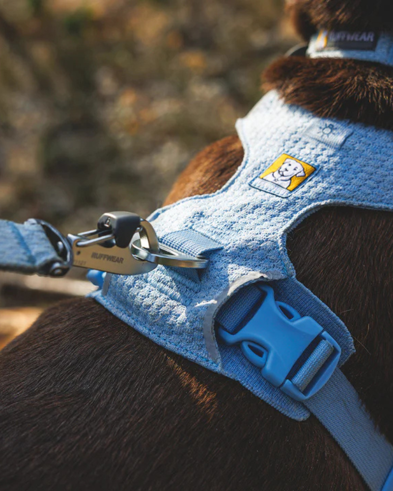 RUFFWEAR | Front Range Flex Harness in Polar Blue | DOG & CO.