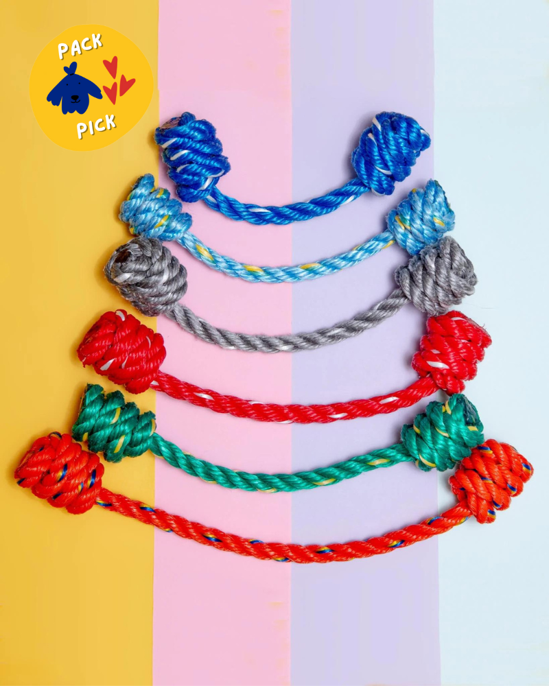 KnotTug Rope Dog Toy Play ALL FOR KNOT   