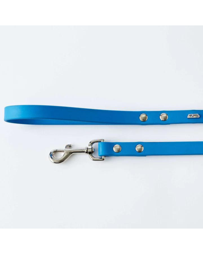 Vegan Leather Dog Leash in Sky Blue (Made in Canada) WALK HOT DOGS ALL DRESSED   