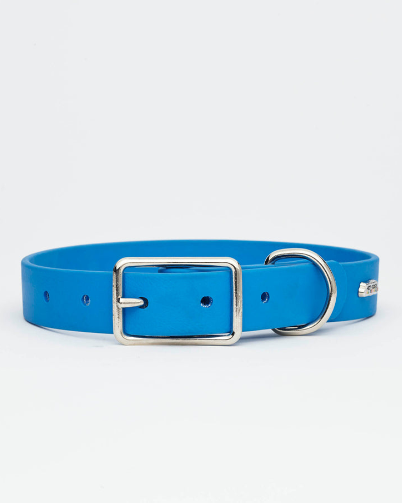 Sky Blue Vegan Leather Dog Collar with Clouds (Made in Canada) WALK HOT DOGS ALL DRESSED   