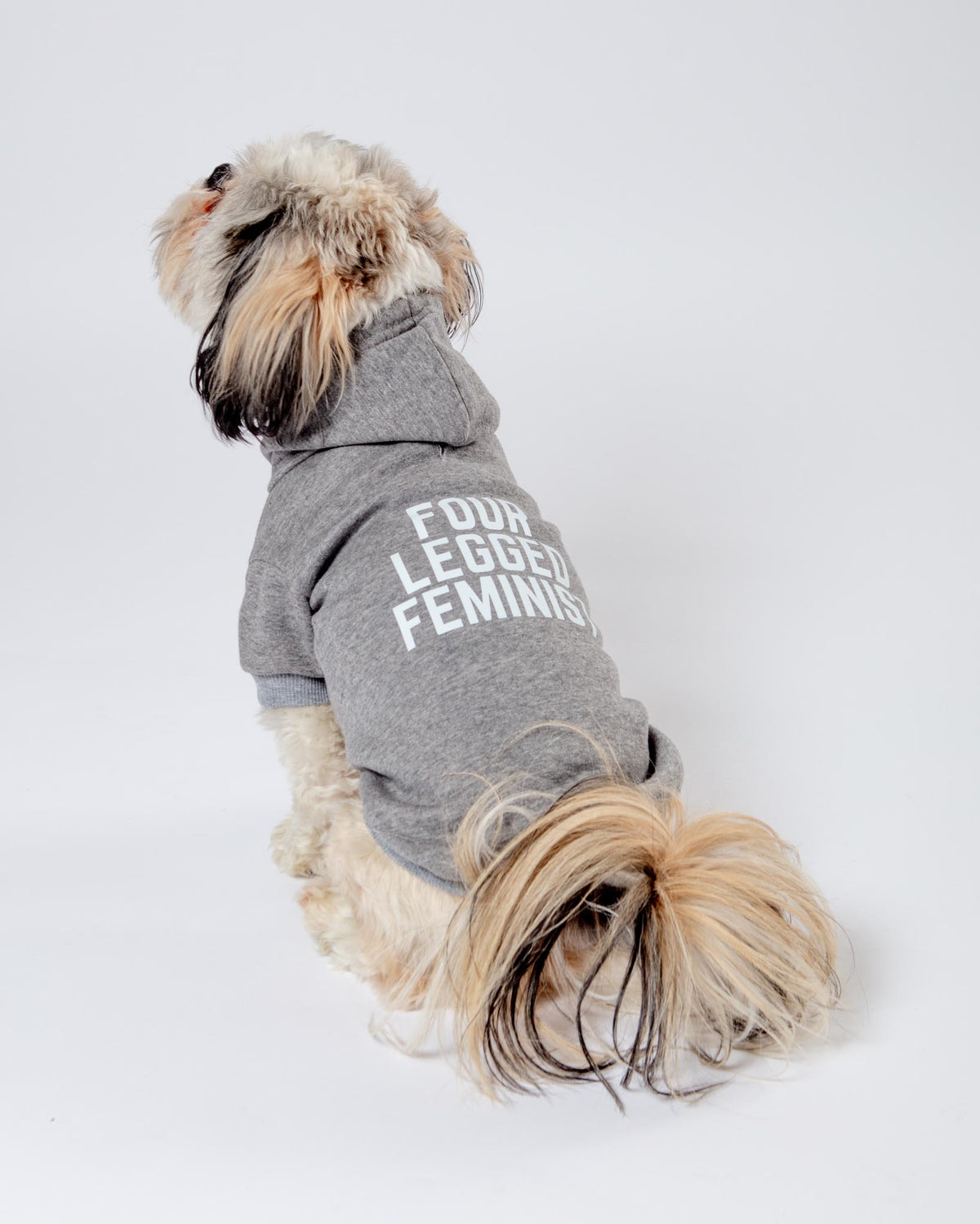 リリー様DOG GRAPHIC VINTAGE OVERSIZE HOODIE DOG & CO. | *Four Legged Feminist* Dog Hoodie (Proceeds Benefit