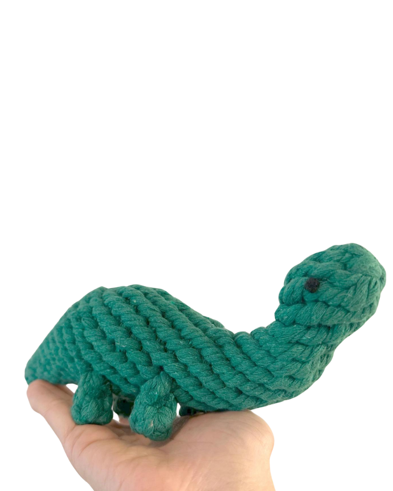 Eco-Friendly Dinosaur Rope Dog Toy Play KNOTTY PAWS   