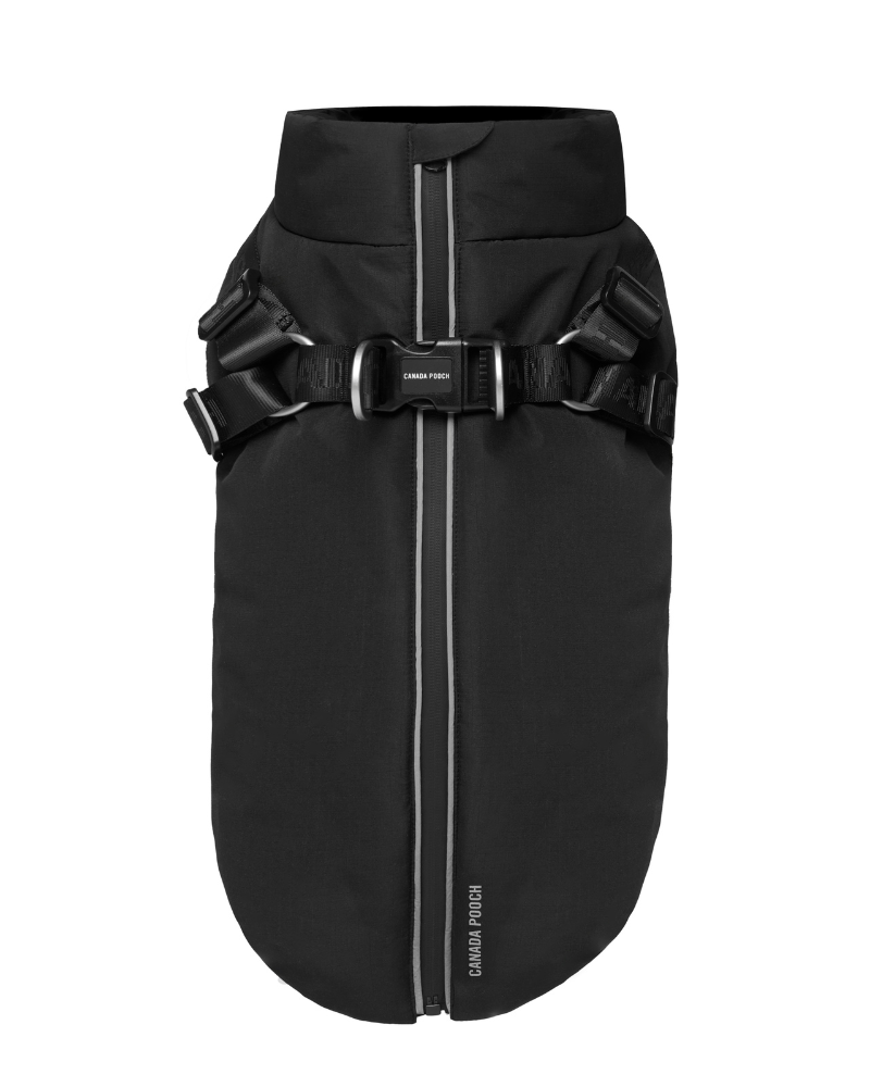 Complete Control Harness Winter Dog Jacket | DOG & CO.