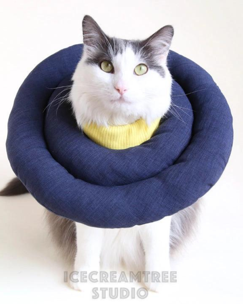 Hypoallergenic Soft Comfy Pet Cone (Made in the USA) HOME ICECREAMTREE STUDIO   