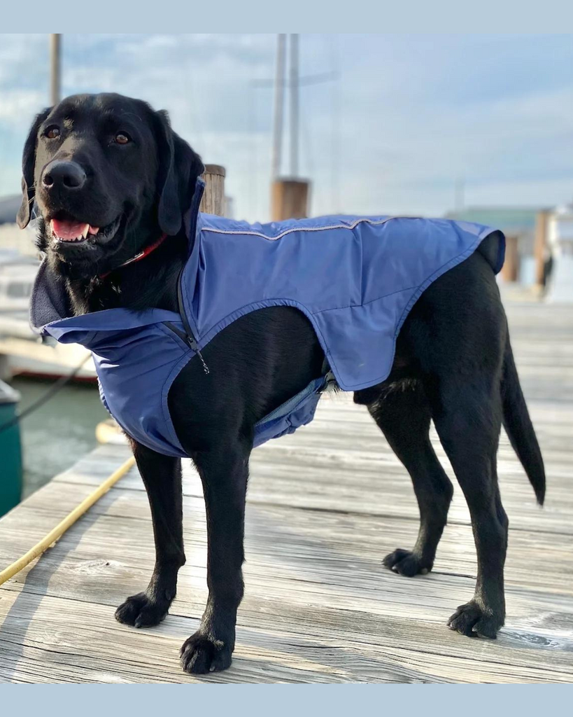 Narragansett Bay Dog Sailing Jacket Wear BAY DOG   