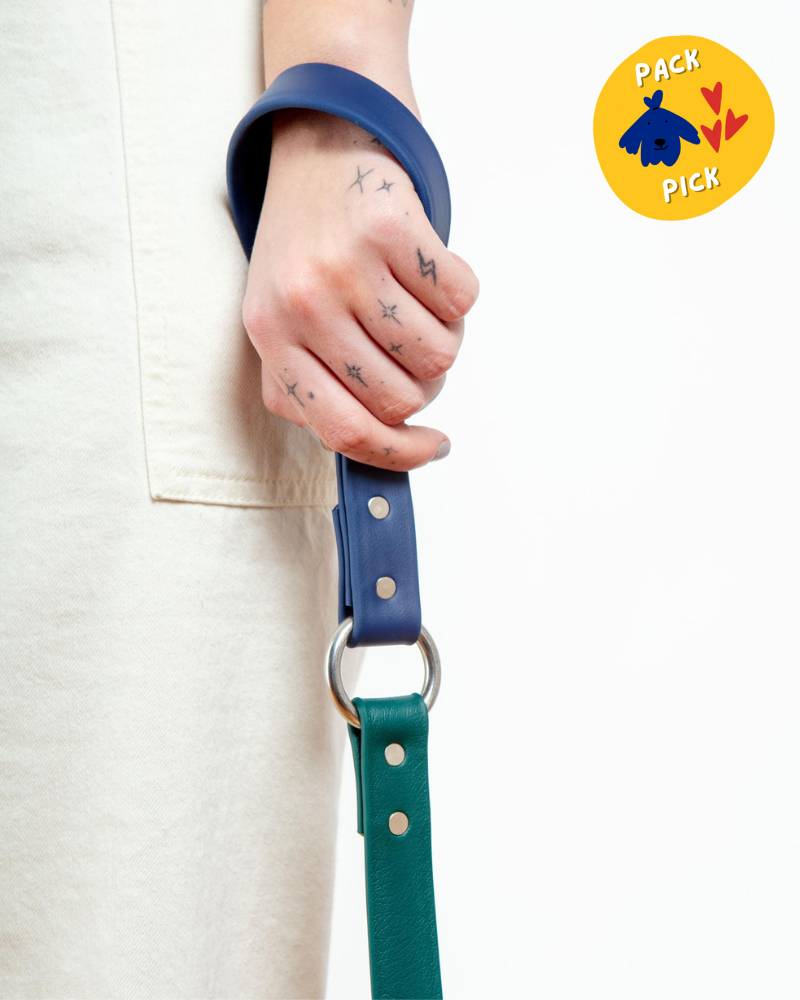 Navy dog leash online