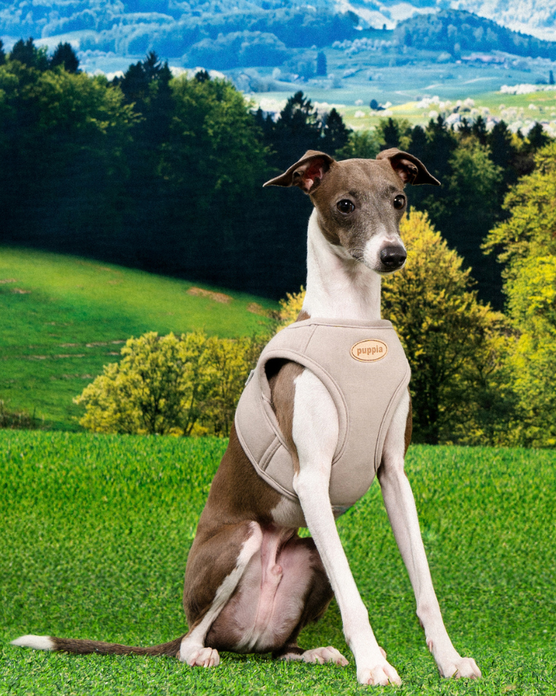 PUPPIA Eco Soft Mesh Harness Vest in Beige DOG
