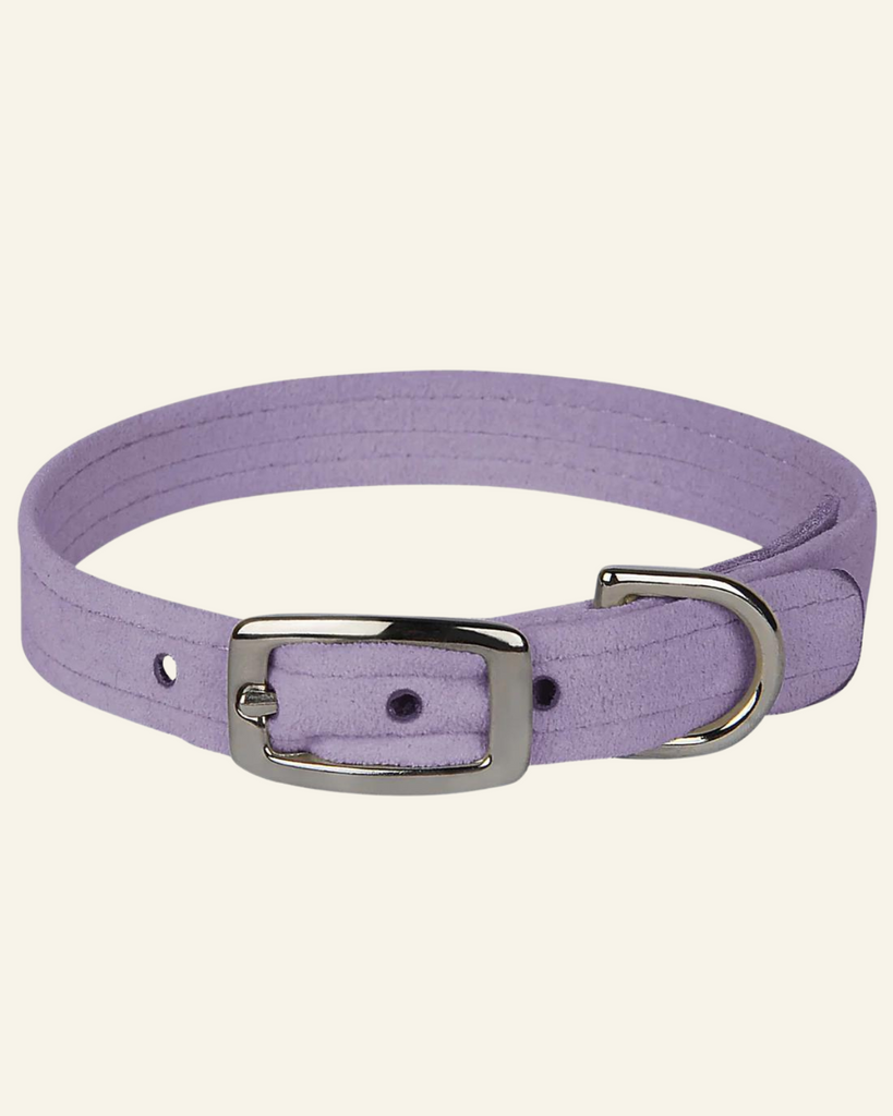 Ultrasuede Dog Collar (Made in the USA) WALK SUSAN LANCI DESIGNS Lavender Teacup 