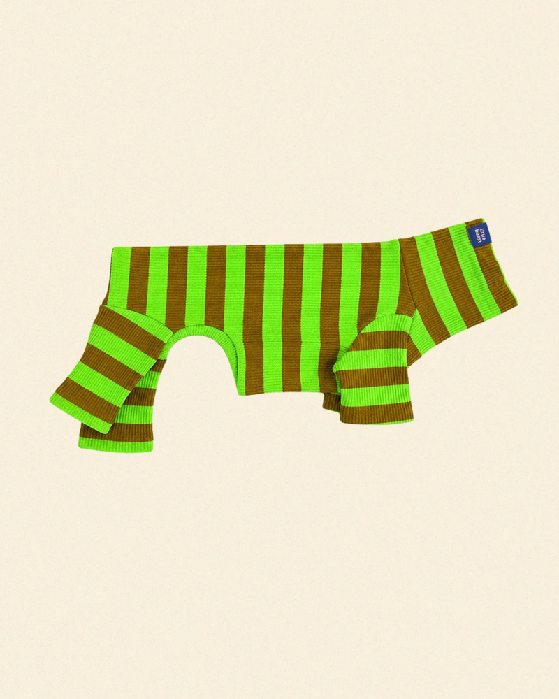 LITTLE BEAST | Ribbed Dog Onesie in Fresh Grass | DOG & CO.