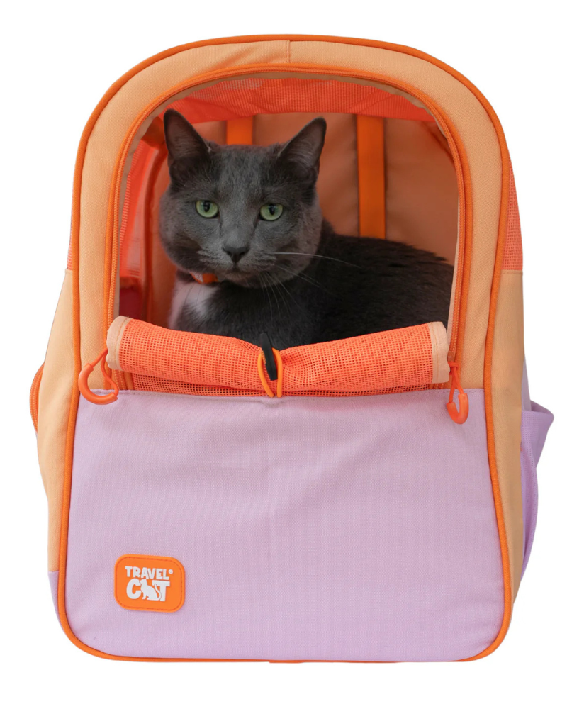 KittyCat  TRAVEL CAT | 