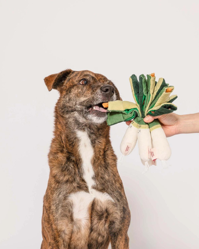 Green Onion Nosework Dog Toy Play THE FURRY FOLKS   