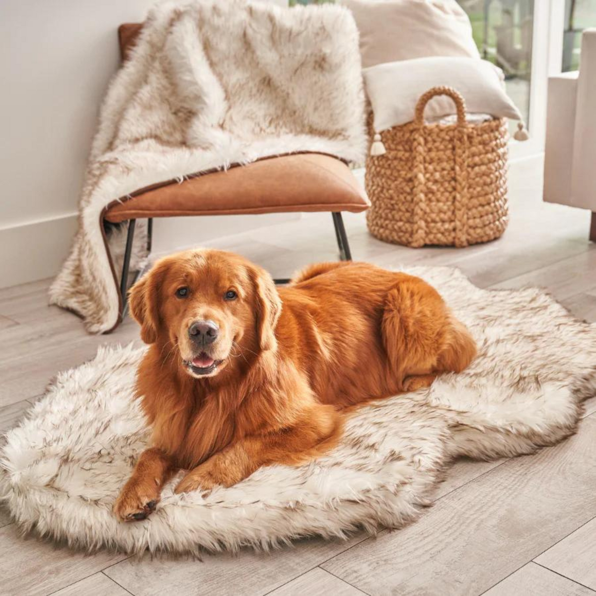 PAW Faux Fur Orthopedic Dog Bed Curve White with Brown Accents