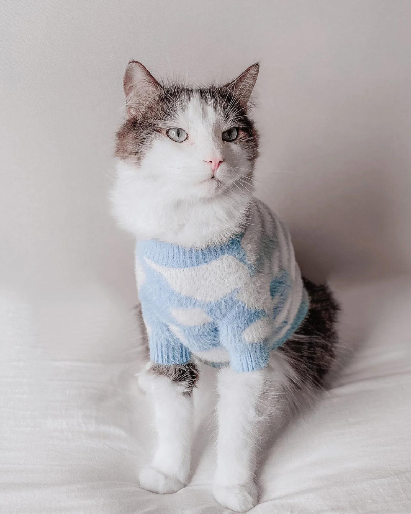 Soft Cloud Pet Sweater Wear PUPS & BUBS   