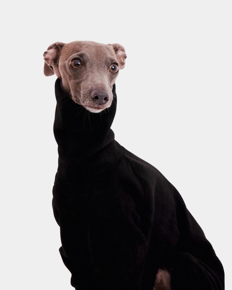Dog Onesie in Black Wear FORGALGO   