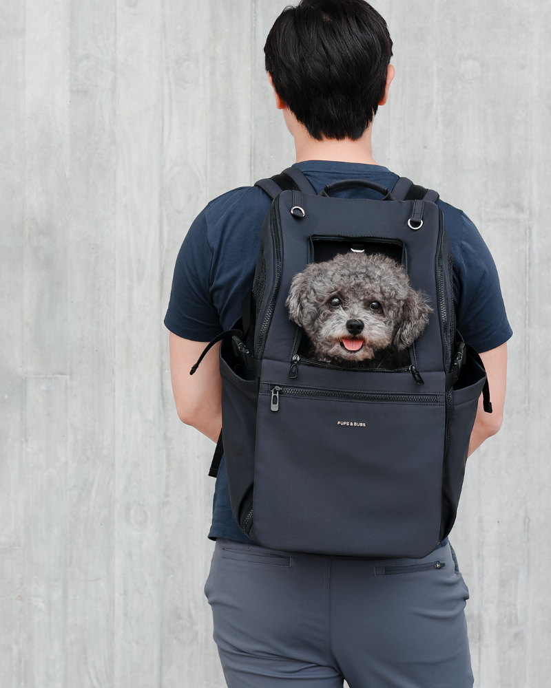 Travel Pet Carrier Backpack Carry PUPS & BUBS   