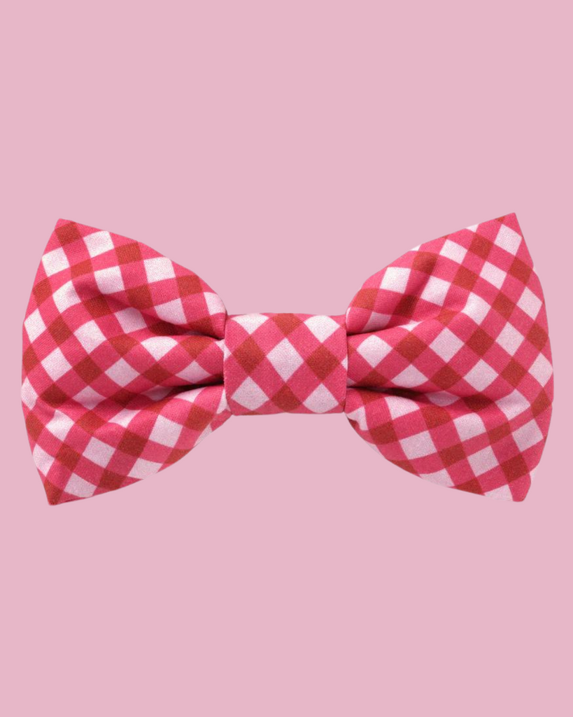 Raspberry Gingham Dog Bow Tie (Made in the USA) Wear THE FOGGY DOG   