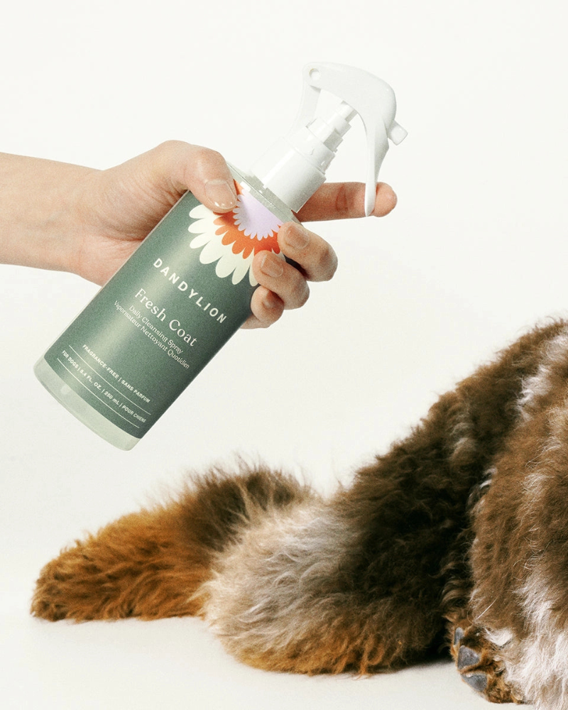 DANDYLION | Fresh Coat Daily Dog Cleansing Spray | DOG & CO.
