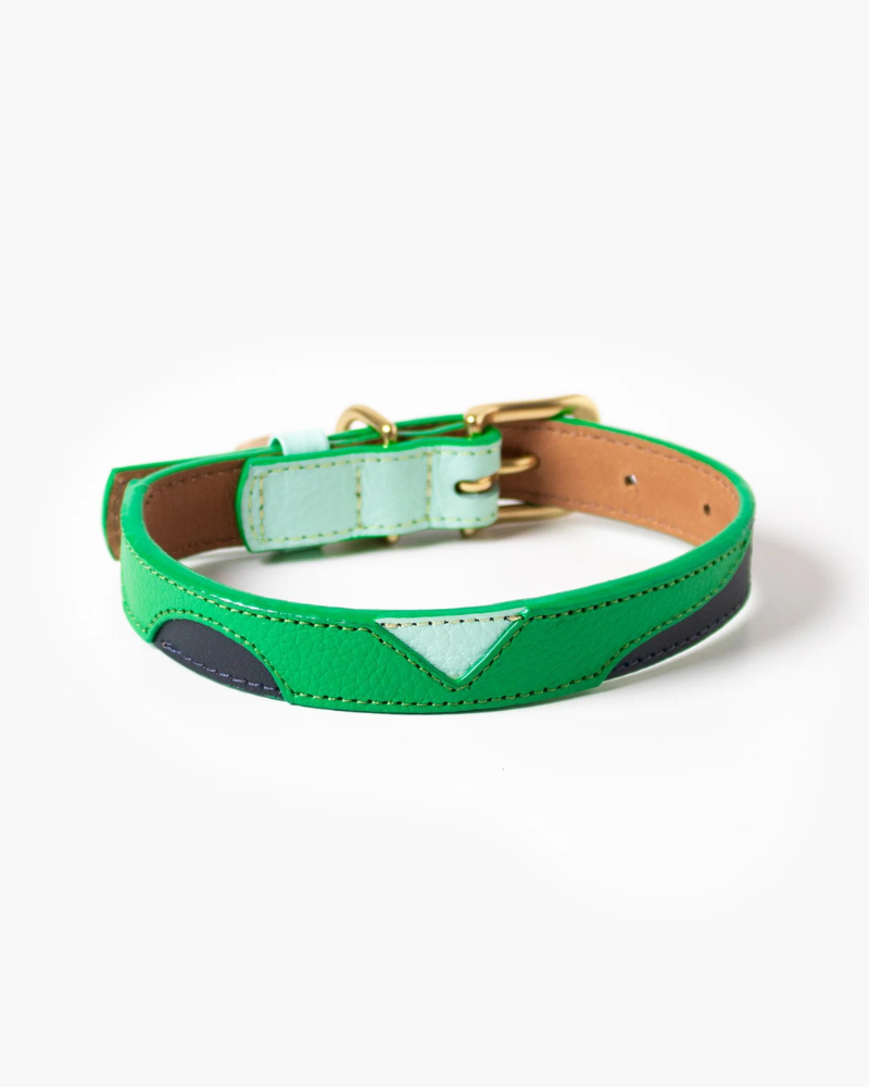Brave Leather Dog Collar (Made in Guatemala)