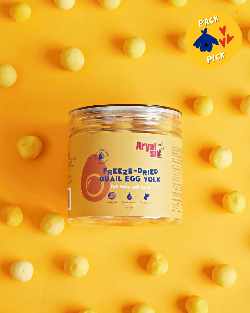 Egg yolk for clearance kittens