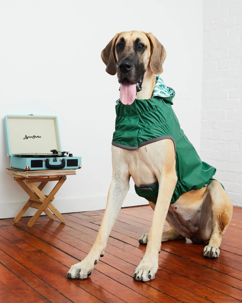 GF Pet Reversible Elasto-Fit Raincoat - Green/Green - 4XL GF Pet Reversible Elasto-Fit Raincoat - Green/Green - 4XL