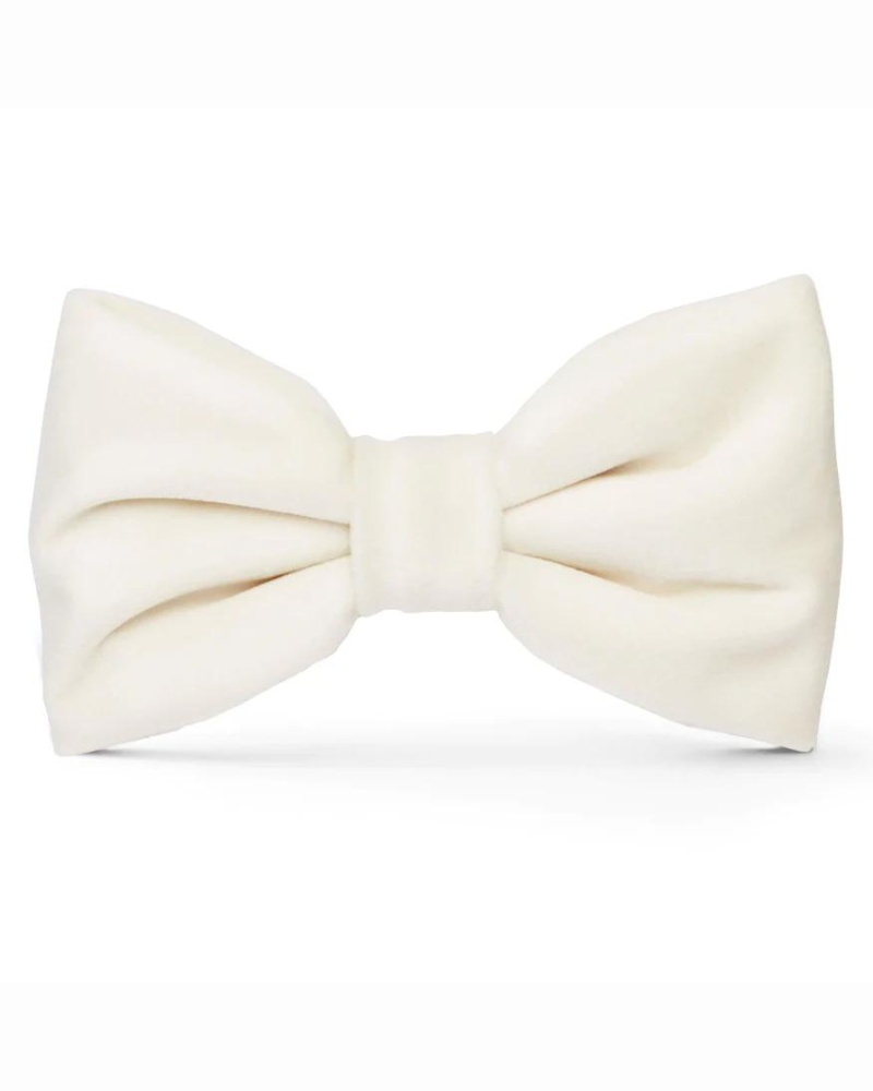 Ivory Velvet Dog Bow Tie (Made in the USA) Accessories THE FOGGY DOG   