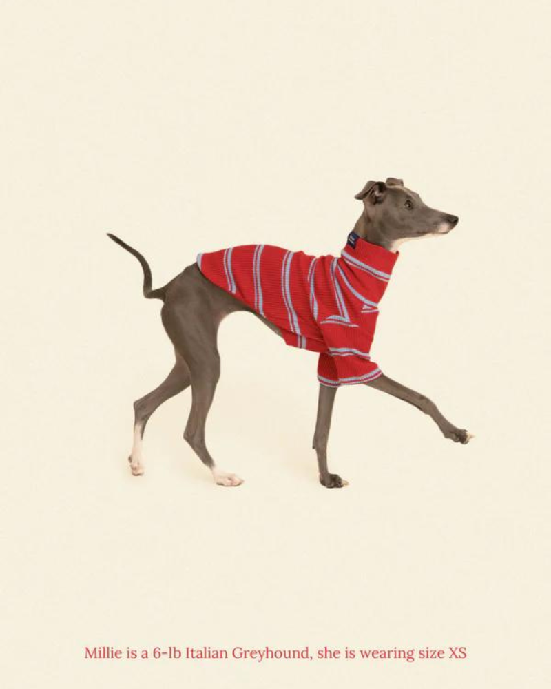 Star Shooter Pullover Dog Shirt Wear LITTLE BEAST   
