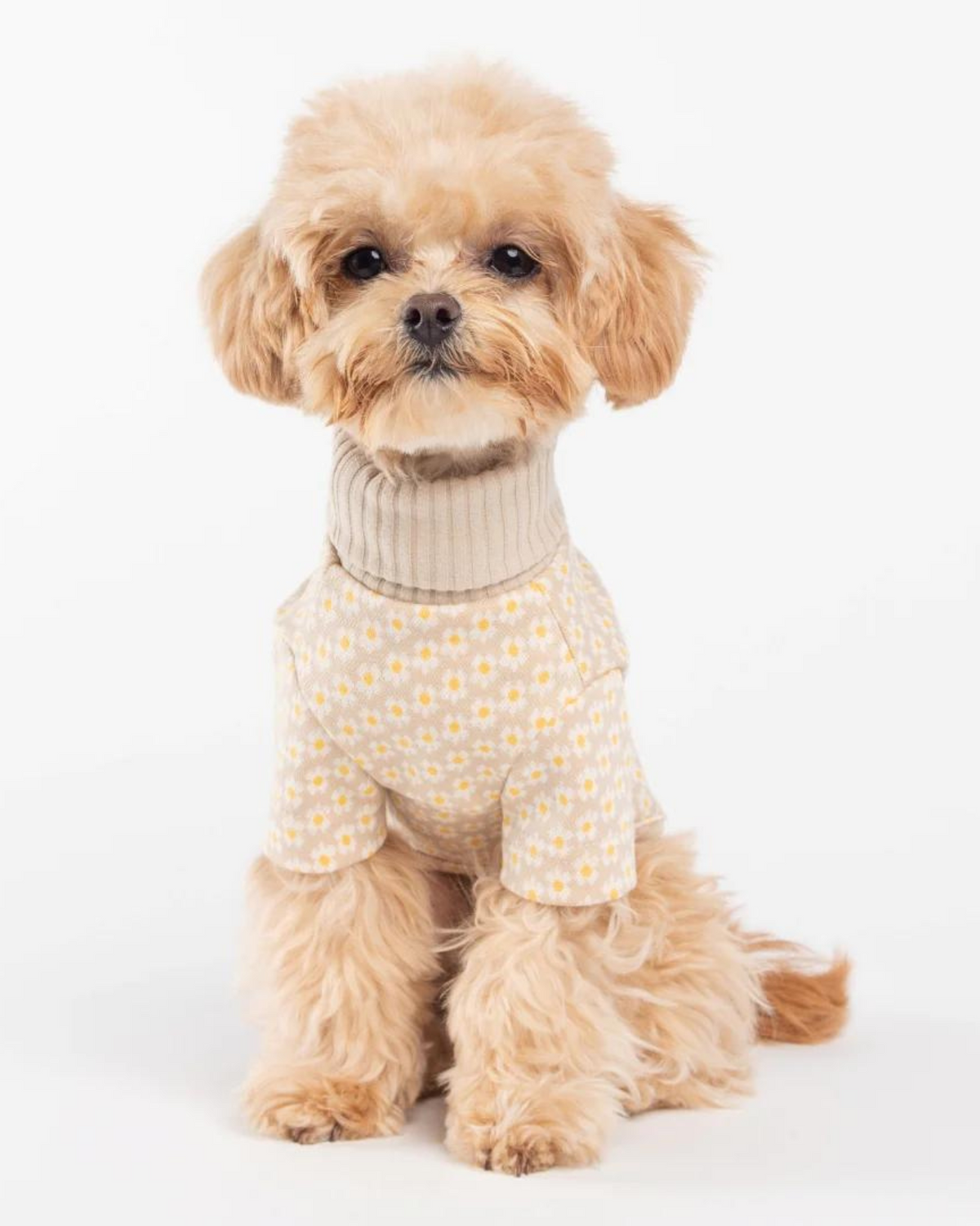 Small dog sweaters sale deals