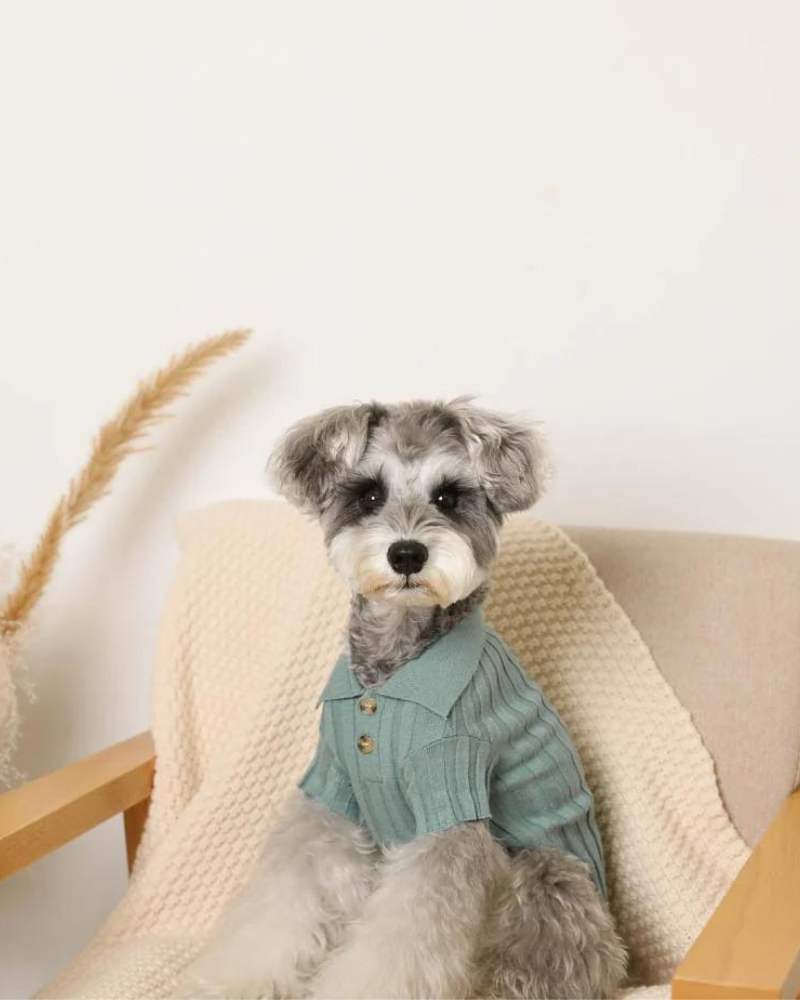 Rib Knit Dog Polo Wear MONCHERI   
