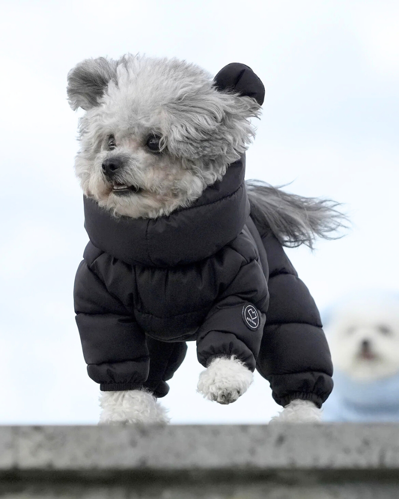 Padded Goosefeel Winter Coverall for Dogs | DOG & CO.