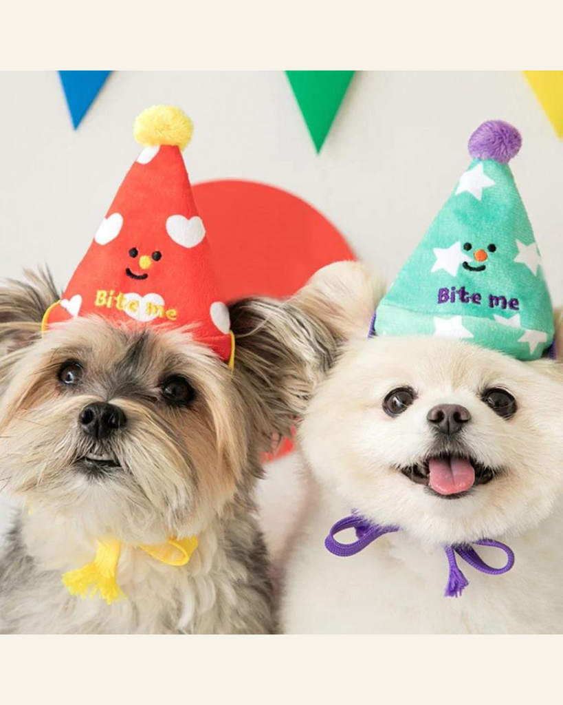 Party Hat Nosework Dog Toy Set Play BITE ME   