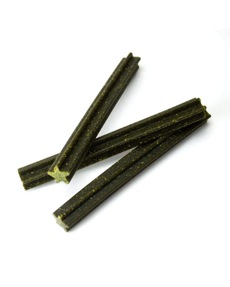 ADC HOUNDSTONE & CO. | Coconut Mint Dental Dog Chews (Made in the