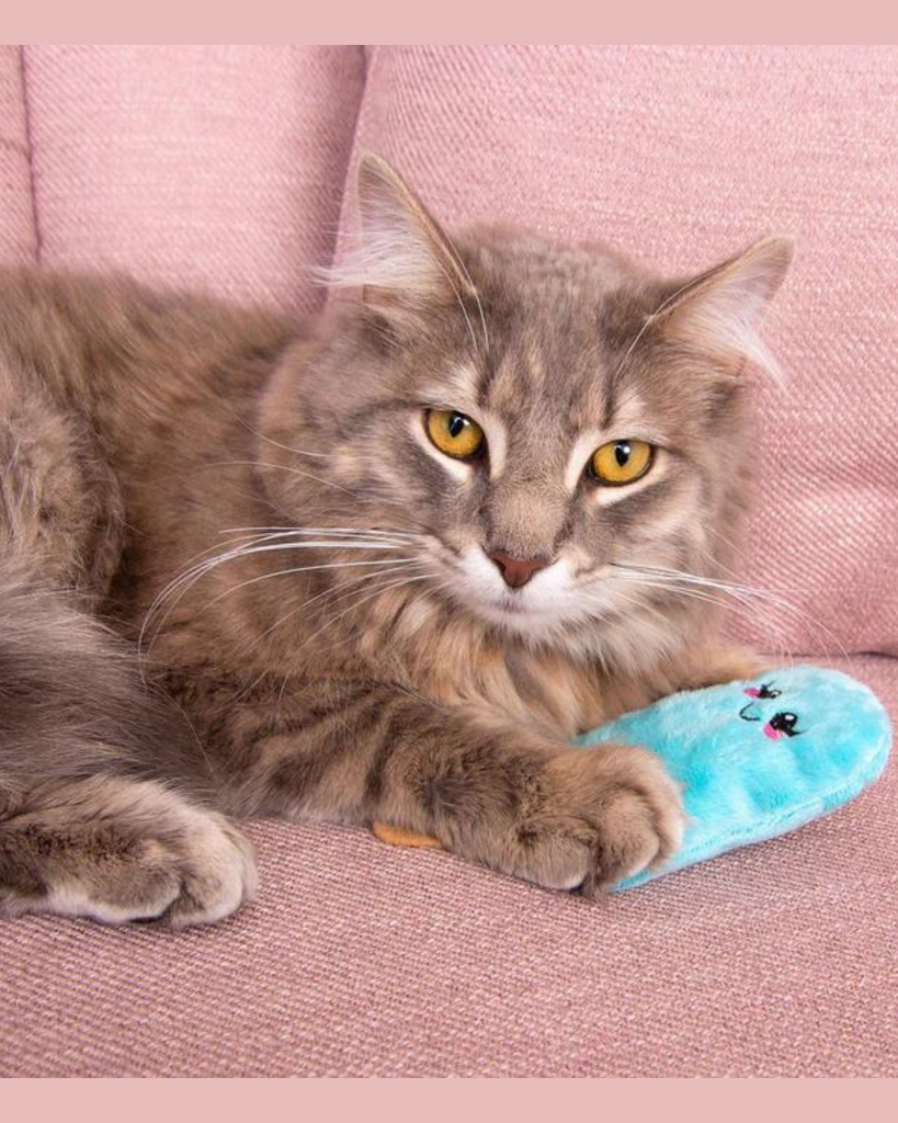 Catnip Fur-ezze Pop Cat Plush Toy (Made in the USA) CAT CROCHET KITTY   