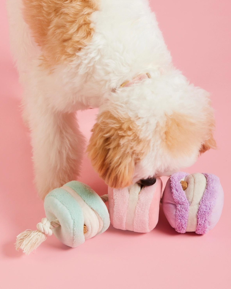 Macarons Interactive Snuffle Dog Toy (FINAL SALE)
