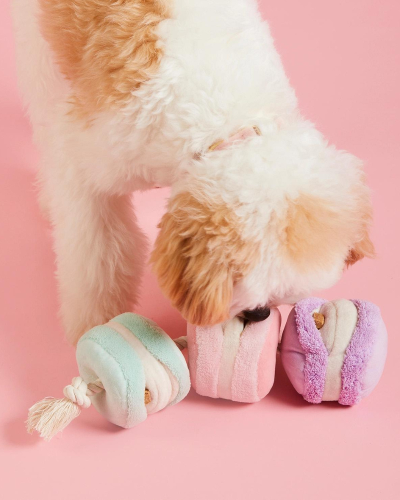 THE FOGGY DOG, Macarons Snuffle Dog Toy