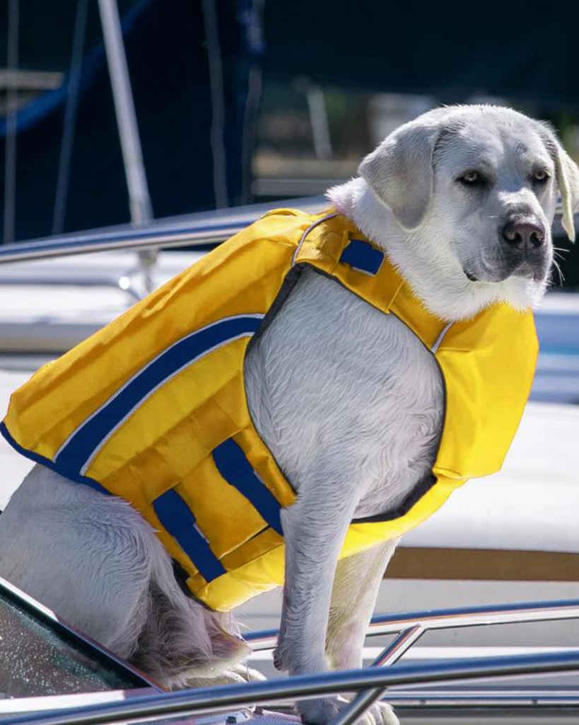 Monterey Bay Dog Life Jacket in Nautical Yellow Wear BAY DOG   