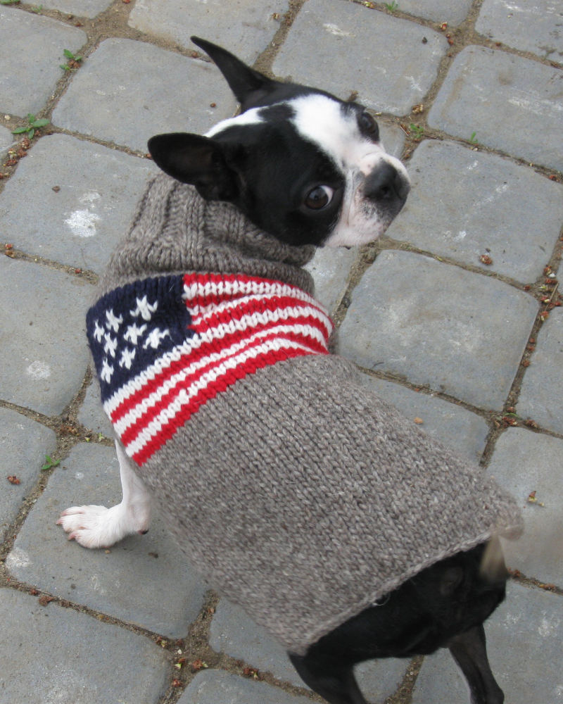 boston terrier dog sweater CHILLY DOG | Flag Wool Dog Sweater