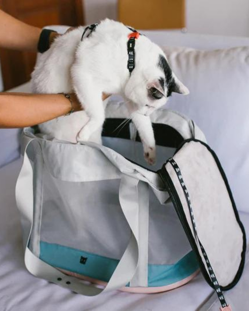 KOMBUCHA Pet Carrier Bag Carry ZEE.DOG   