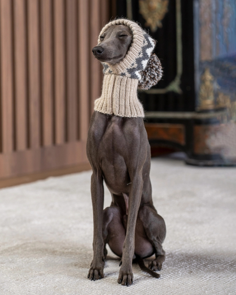 ALQO WASI Wooly Winter Alpaca Dog Hat DOG