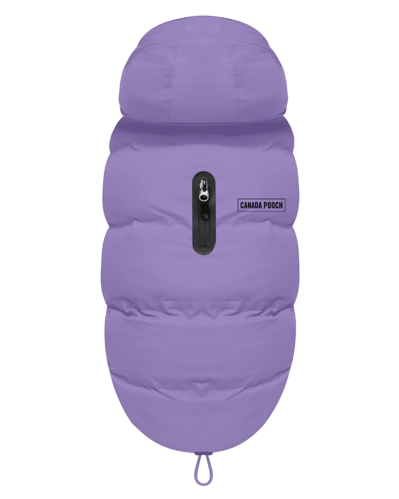 Insulated Waterproof Dog Puffer (FINAL SALE) Wear CANADA POOCH Violet 10 