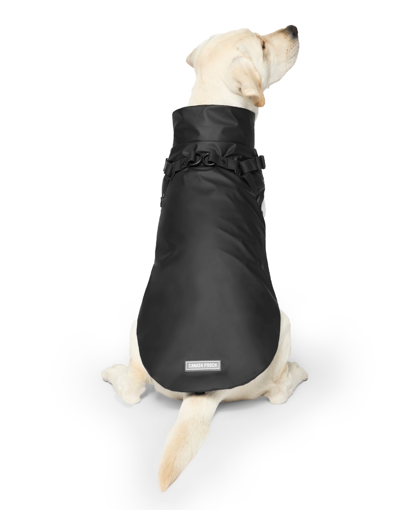 CANADA POOCH | 2-In-1 Dog Harness Raincoat in Black | DOG & CO.