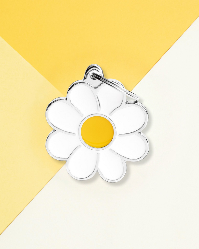 Hey Daisy Custom Pet ID Tag