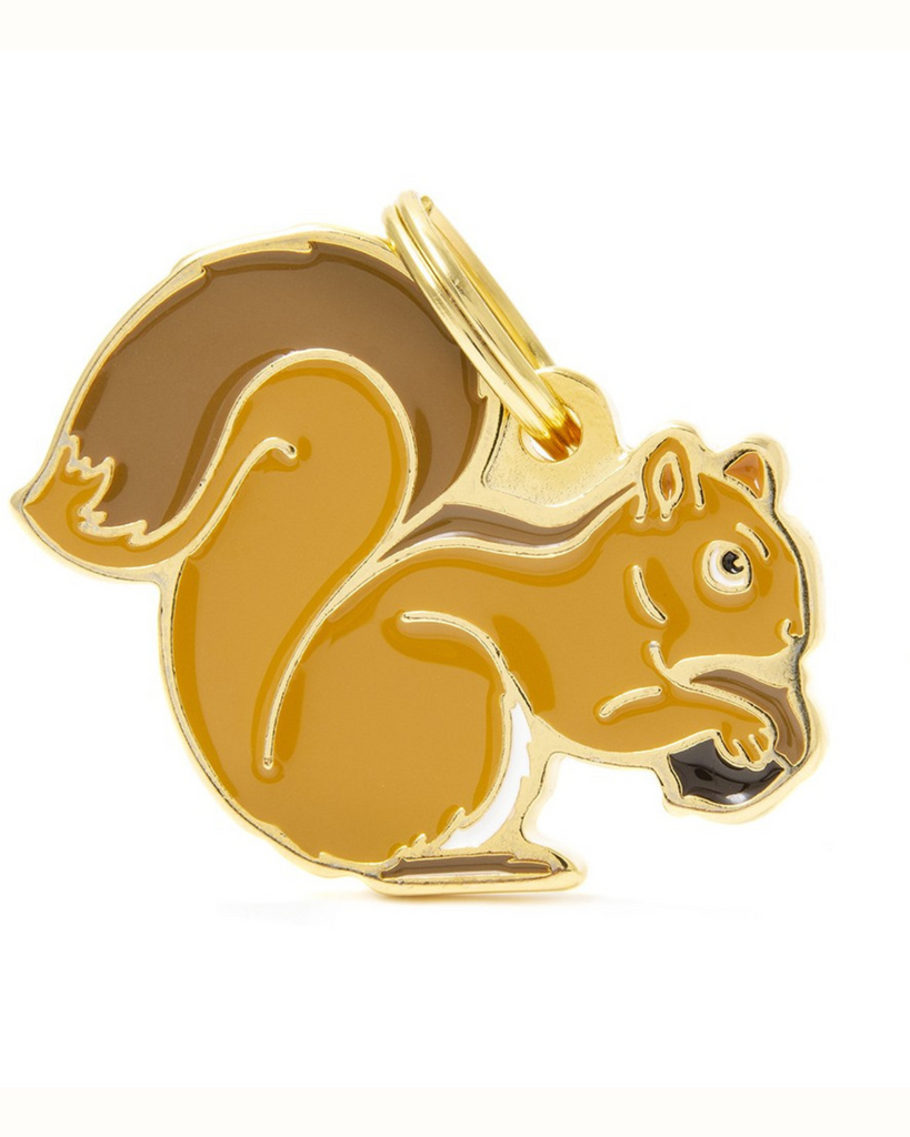 Nuts for Squirrels Custom Pet ID Tag Wear MY FAMILY   